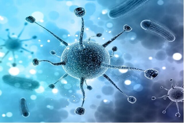 IIID Member Achieves Breakthrough in Cancer Immunotherapy Innovation